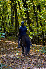 Reiterin auf einem Islandpferd auf einem Ausritt im herbstlichen Wald