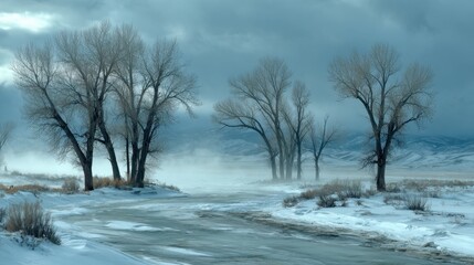 Winter landscape with bare trees and a snowy road under a cloudy sky