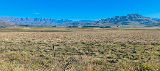 landscape of fields with mountain backdrop