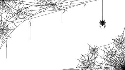 Spiderweb vector illustration hanging spider isolated on white background perfect for Halloween design elements