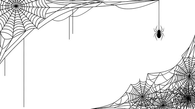 Spiderweb vector illustration with hanging spider creepy cobweb corner elements for Halloween designs isolated on whi