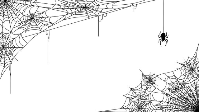 Spiderweb vector illustration hanging spider isolated on white background perfect for Halloween design elements - Powered by Adobe