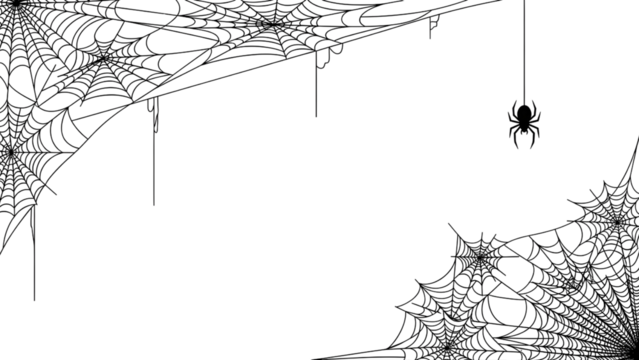 Spiderweb vector illustration hanging spider isolated on white background perfect for Halloween design elements