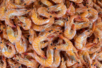 Fresh Shrimp Displayed at Fish Market.
