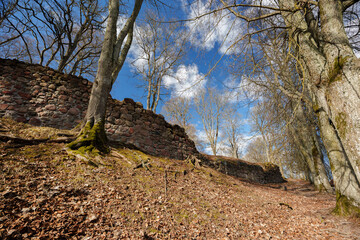 Ruins of a Medieval Stone Wall with Bare Trees and Sunburst