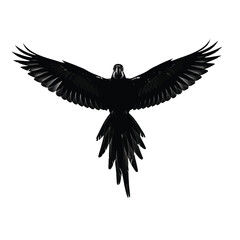 Obraz premium Vector illustration of black silhouette of a parrot with wings spread wide