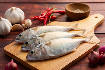 Raw fresh mackerel fish (short bodied mackerel ) on cutting board.Fresh seafood ingredients.