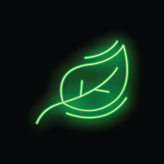 Neon green leaf glowing on a black background