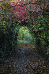 Fototapety na wymiar - Fototapeta24.pl