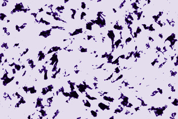 Obraz premium Microscopic Grain Structure of Metallographic Sample Under Polarized Light