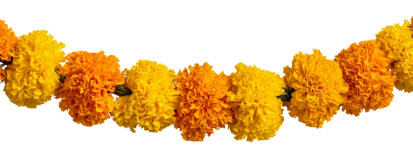 Vibrant Garland: Marigolds in Yellow and Orange on Black