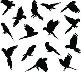 Parrot silhouettes, flying poses, perched birds, tropical icons, black shapes, wing spread, tail feathers, bird anatomy, nature illustration, avian motion, exotic species