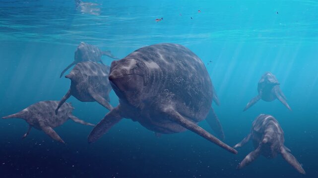 shastasaurus and shonisaurus in the prehistoric ocean
