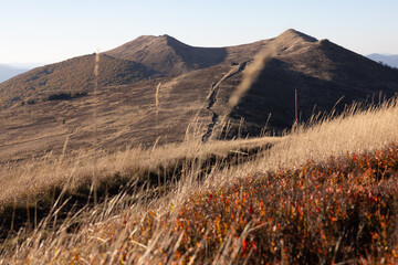 Panorama Bieszczadów podczas jesiennego zachodu słońca. Panorama of the Bieszczady Mountains during an autumn sunset.