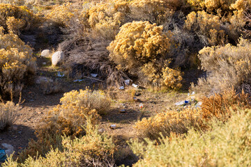 Trash littering a sagebrush covered river bank along the Truckee River west of Reno Nevada during autumn.