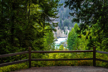 Fototapeta premium View at Kootenay river from the hiking trail in the forest