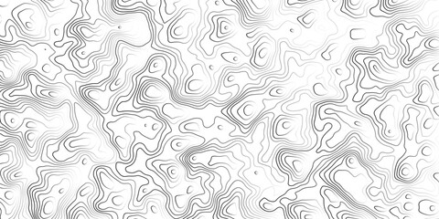 Topographic-inspired abstract design with curved contour lines forming an intricate maze-like texture.