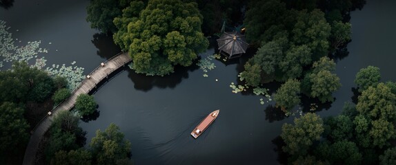 time lapse of a tree in the rain