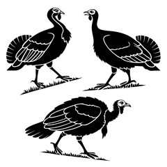 Three black silhouette turkeys standing on grass against a white background in a stylized illustration