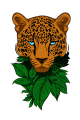 animal illustration design of a leopard with a little leaf make-up underneath