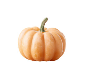 Large orange pumpkin with a green stem