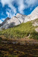 The rocky mountains and forest vegetation scenery of the Qinghai-Tibet Plateau region