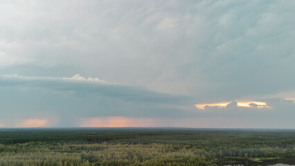 Aerial view of dense green forest under a dramatic sky with storm clouds, illuminated by soft sunset hues. The serene landscape contrasts with impending weather changes.
