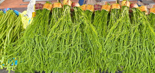 Climbing wattle harvested from the garden ready for sale, organically grown Cha-om, tied in bundles on a table near long beans, acacia or Senegalia pennata with thorny stems and pungent leaves.
