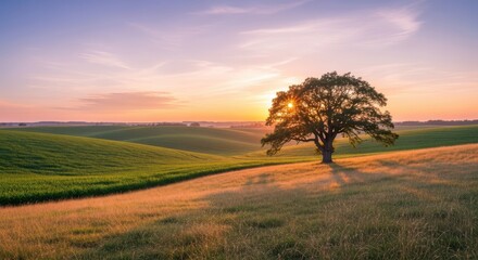 Golden hour serenity solitary tree under a painted sunset sky over rolling hills