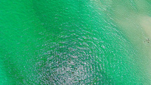 Aerial top down of white sand beach ocean summer day in Panama City Beach Florida panhandle