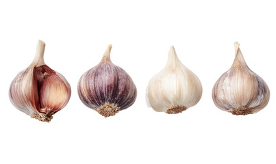 Fototapeta premium Close-up studio shot of four fresh garlic bulbs lined up against a solid black backdrop