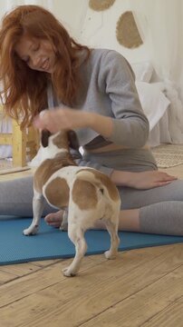 Small dog demands attention, comes for kiss and hugs, shows love while young red-haired girl in sportswear yoga on mat on floor at home. Happy laughing woman playing with dog. Vertical video footage