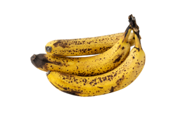 Bunch of yellow overripe bananas fruits with dark brown spots ana mold isolated on a white background.  Rotten spoiled fruit. Food waste.
