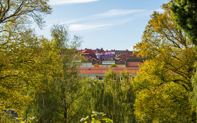 City rooftops framed by lush green trees in autumn sunlight.