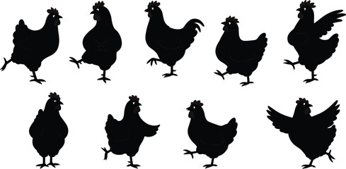 Chicken silhouette set, farm animal illustration, hen walking and flying poses, poultry vector design, domestic bird clipart, black outline art