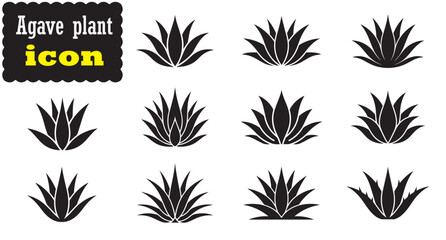 Agave plant icon Set, Agave plant Black vector
