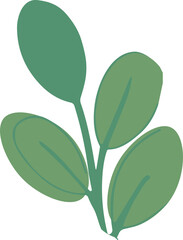 A simple isometric illustration of a green leafy branch with smooth oval leaves, symbolizing growth, peace, and nature.