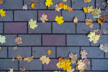 Autumnal maple leaves on brick flooring, colorful textures in warm tones of yellow, red, and ochre...