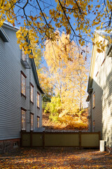 Warm autumn sunlight shining between old wooden houses with golden foliage beyond.