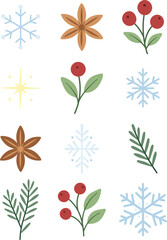 Flat winter botanical elements - snowflakes, berries, anise stars, pine and fir branches and golden star. Minimalist Christmas clipart for patterns, greeting cards, wrapping paper and decor design.