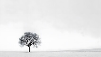 Minimal Silence tree on a white background, minimalist composition, symbolizing silence and calm, clean fine-art style, soft light, empty space, peaceful atmosphere
