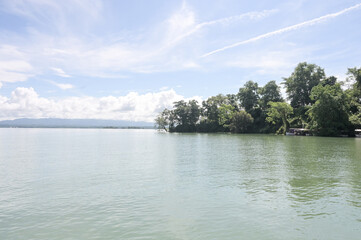 Beautiful lake in the forest