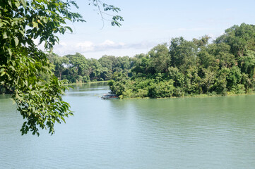 Beautiful lake in the forest