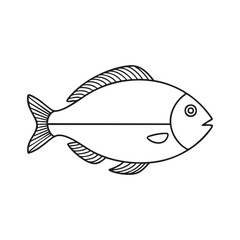 Fish Line Art Vector