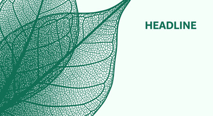 Delicate Green Leaf Vein Illustration Nature-Inspired Design Element for Presentations