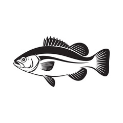 Fish Line Art Vector