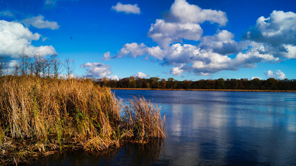 autumn landscape with lake