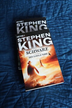 Duplicated copies of a compelling fantasy novel, their covers illustrating a lone silhouette embarking on a mysterious quest under dramatic, 