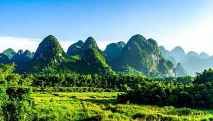 Landscape with mountains, lush green vegetation, isolated on a white background 