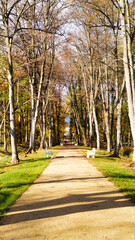 alley in the park